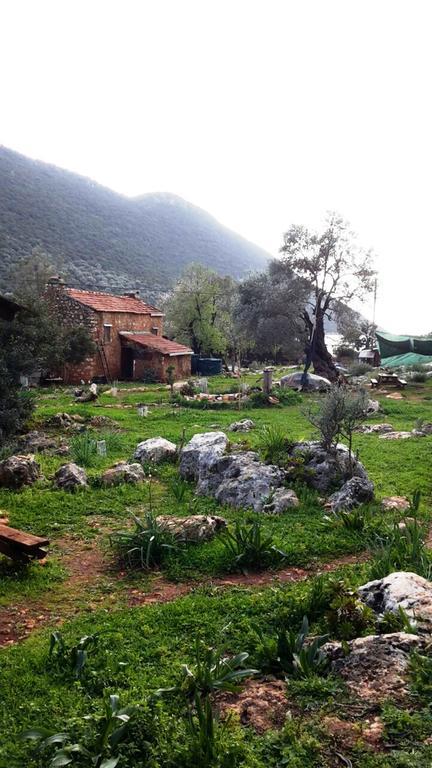 Hiker'S Inn-Purple House Kaleüçağız Dış mekan fotoğraf