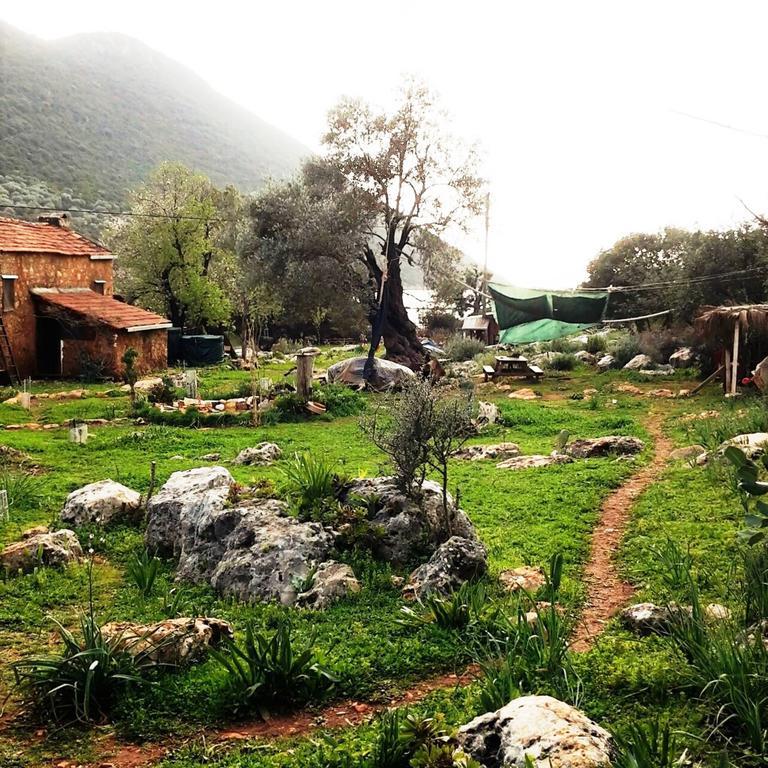 Hiker'S Inn-Purple House Kaleüçağız Dış mekan fotoğraf